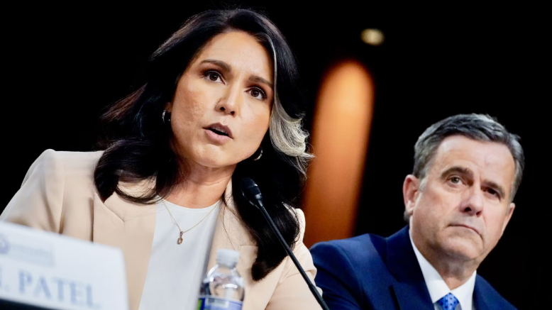 Tulsi Gabbard