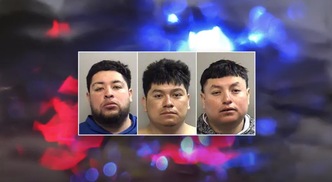 Ramirez Castro, Daniel Castro Zammarron, Marcelino Ramirez-Ramirez
