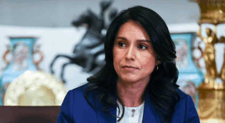 Tulsi Gabbard