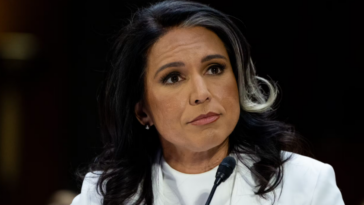 Tulsi Gabbard