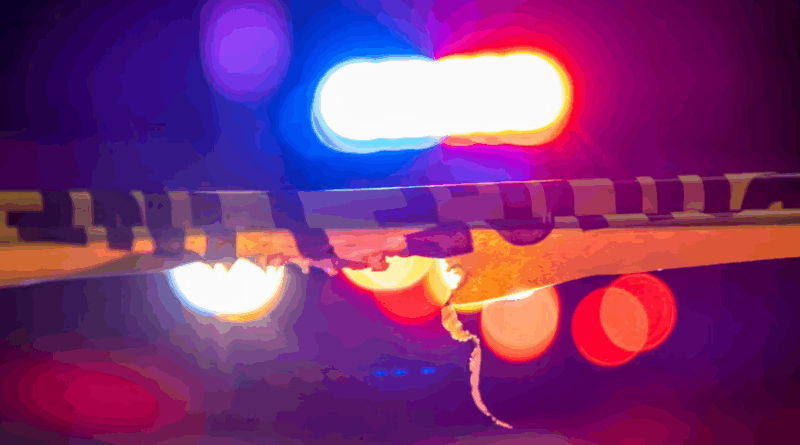 police car crime sc