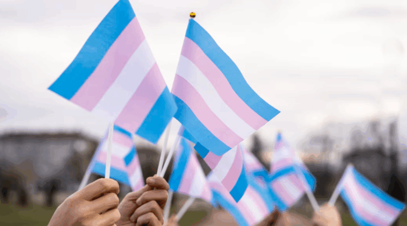 transgender flag