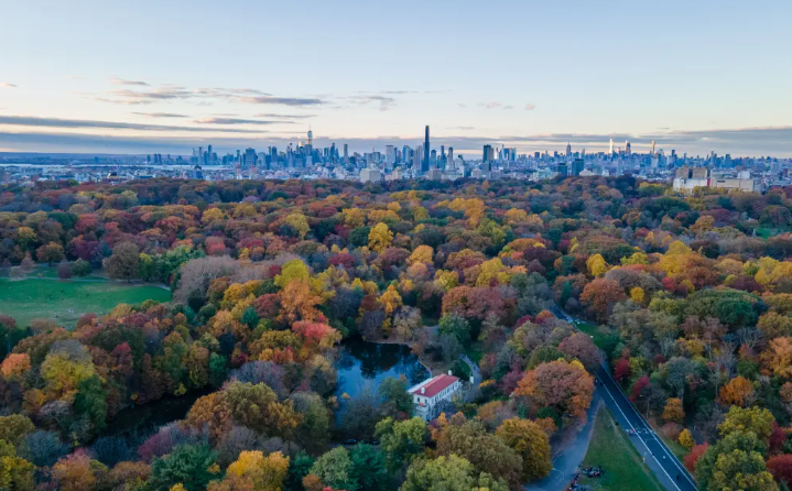 Prospect Park