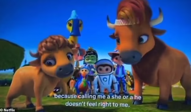 Netflix Non Binary Bison