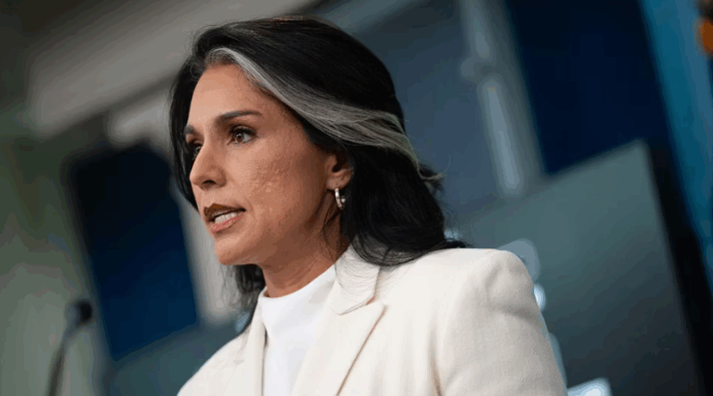 Tulsi Gabbard
