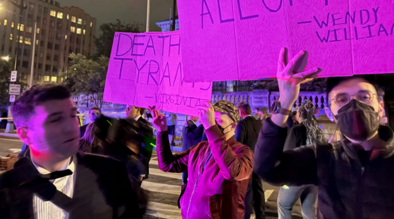 left wing protestors